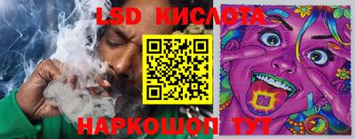 apvp Тверь