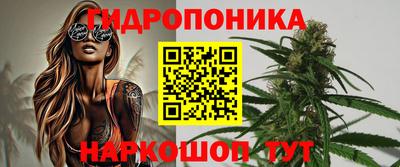 apvp Тверь