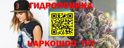 твердый Тара